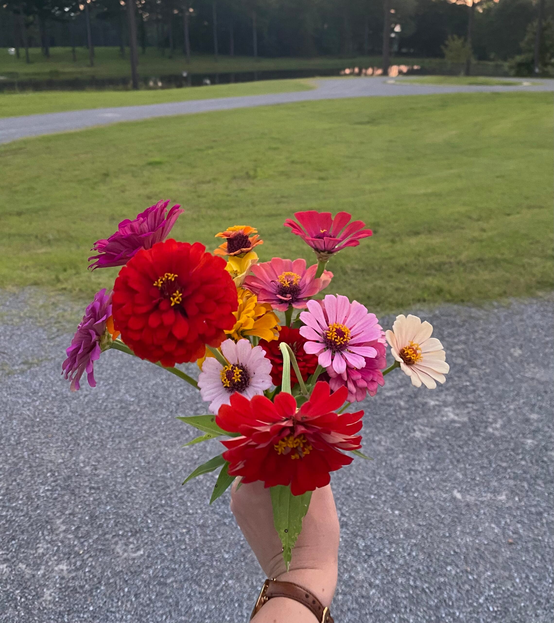 How to Slow Down with 5 Easy Steps